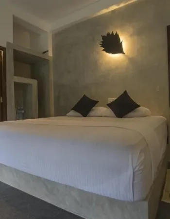 Sinharaja Forest Edge
