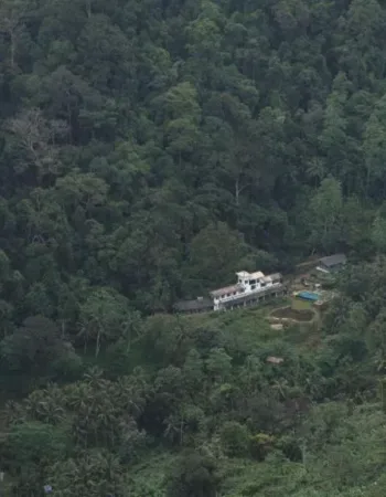 Sinharaja Forest Edge