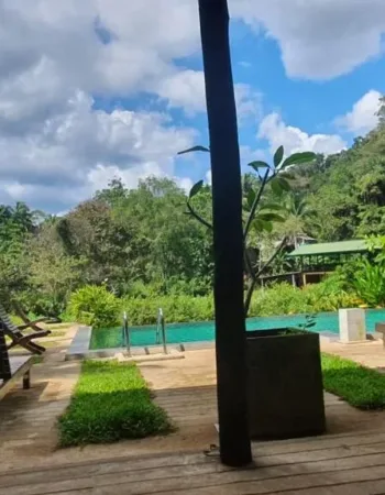Sinharaja Forest Edge